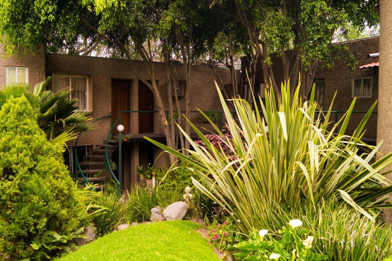 Suite 4A, Terraza, Garden House, Welcome To San Angel Cidade do México Exterior foto