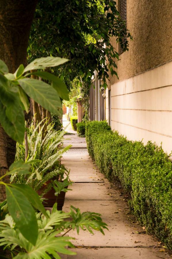 Suite 4A, Terraza, Garden House, Welcome To San Angel Cidade do México Exterior foto